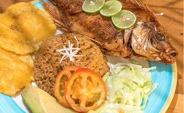 Comida deliciosa esperandote