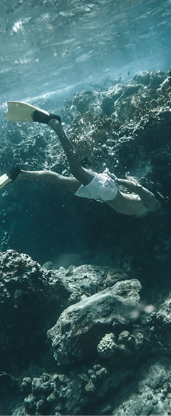 Snorkeling en Arrecifes