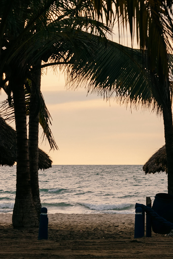 La Playa a Primera Fila